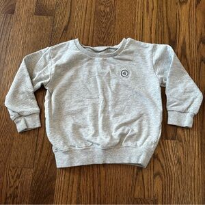 Dearest Joe Organic Cotton Light Gray Crewneck Sweatshirt with Logo, size 18M